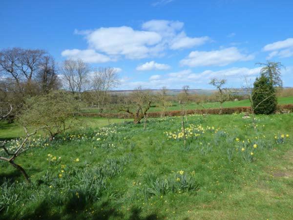 Flanders Hall West Burton Екстер'єр фото